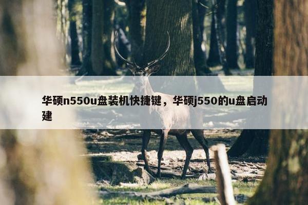 华硕n550u盘装机快捷键，华硕j550的u盘启动建