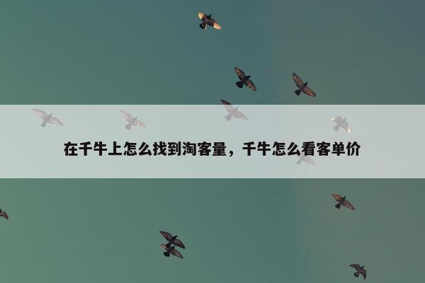 在千牛上怎么找到淘客量，千牛怎么看客单价