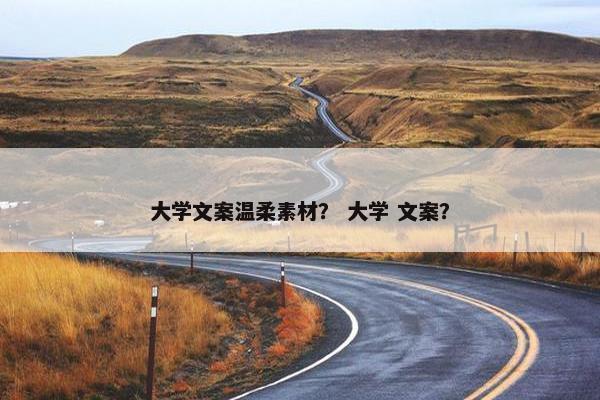 大学文案温柔素材？ 大学 文案？