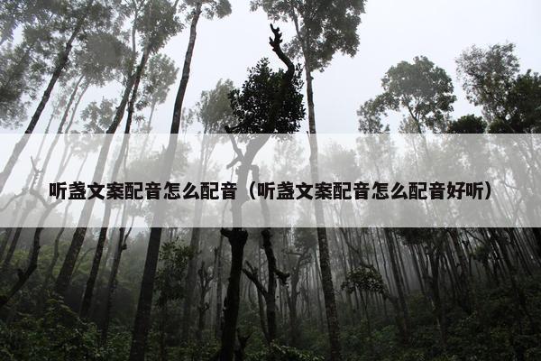 听盏文案配音怎么配音（听盏文案配音怎么配音好听）