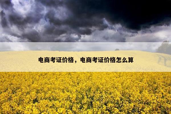 电商考证价格，电商考证价格怎么算