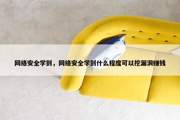 网络安全学到，网络安全学到什么程度可以挖漏洞赚钱