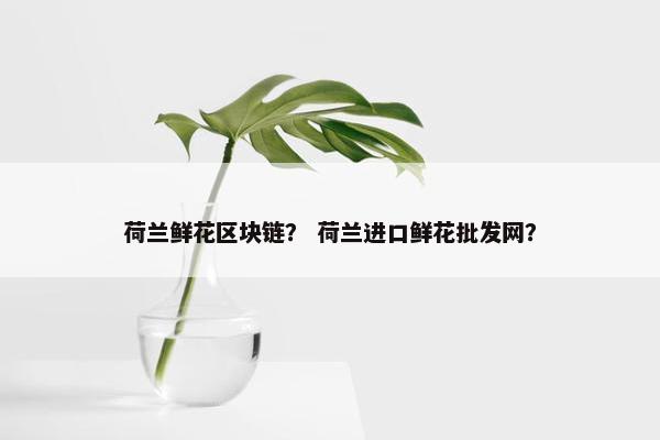荷兰鲜花区块链？ 荷兰进口鲜花批发网？
