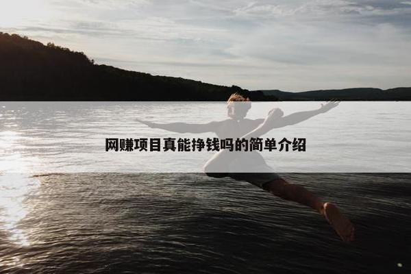 网赚项目真能挣钱吗的简单介绍