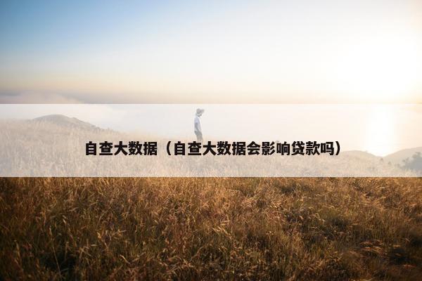 自查大数据（自查大数据会影响贷款吗）