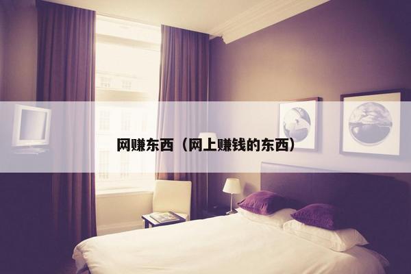 网赚东西（网上赚钱的东西）