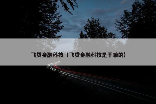 飞贷金融科技（飞贷金融科技是干嘛的）