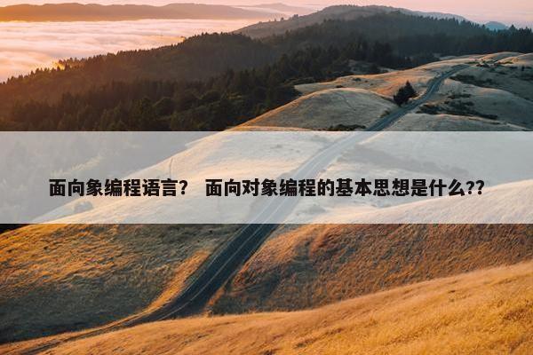 面向象编程语言？ 面向对象编程的基本思想是什么?？