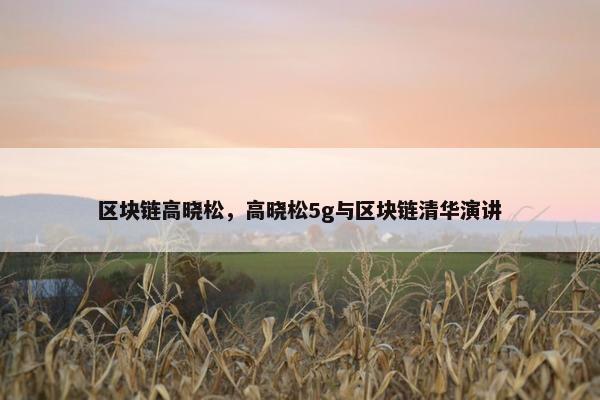 区块链高晓松，高晓松5g与区块链清华演讲