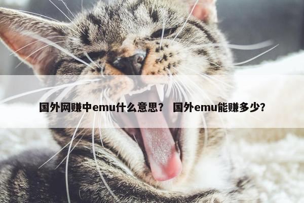 国外网赚中emu什么意思？ 国外emu能赚多少？