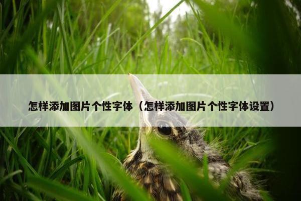 怎样添加图片个性字体（怎样添加图片个性字体设置）