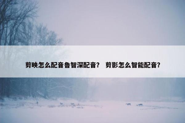 剪映怎么配音鲁智深配音？ 剪影怎么智能配音？