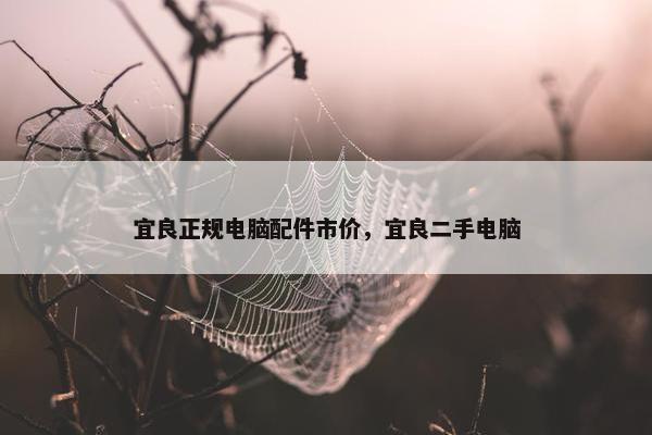 宜良正规电脑配件市价，宜良二手电脑