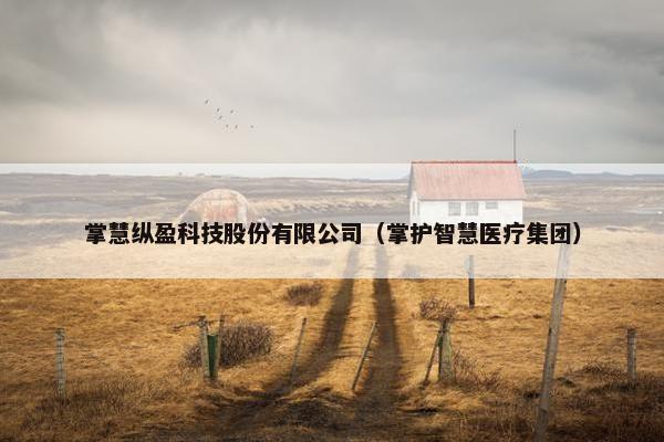 掌慧纵盈科技股份有限公司（掌护智慧医疗集团）
