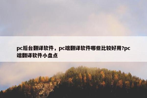pc后台翻译软件，pc端翻译软件哪些比较好用?pc端翻译软件小盘点