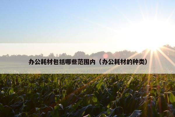 办公耗材包括哪些范围内（办公耗材的种类）