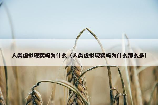 人类虚拟现实吗为什么（人类虚拟现实吗为什么那么多）