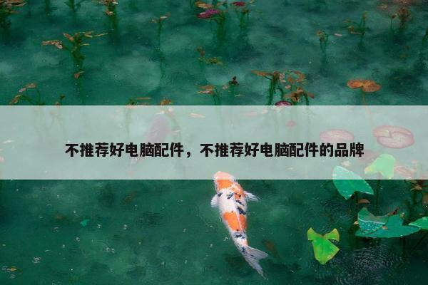 不推荐好电脑配件，不推荐好电脑配件的品牌