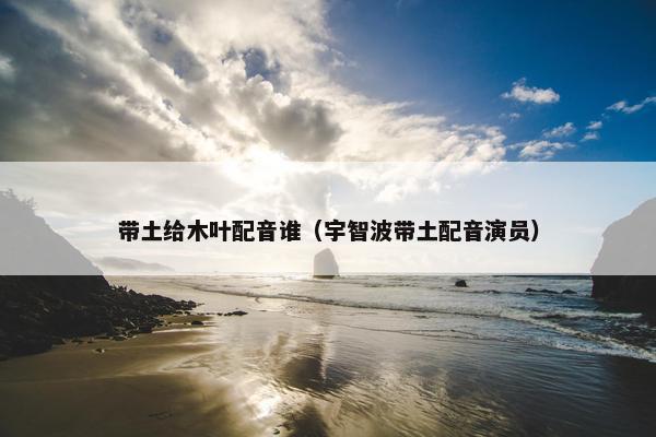 带土给木叶配音谁（宇智波带土配音演员）