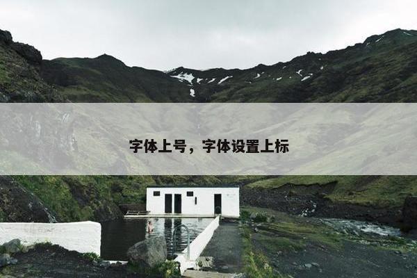 字体上号，字体设置上标