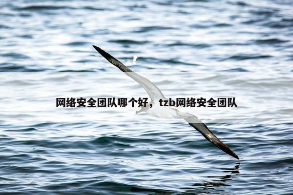 网络安全团队哪个好，tzb网络安全团队