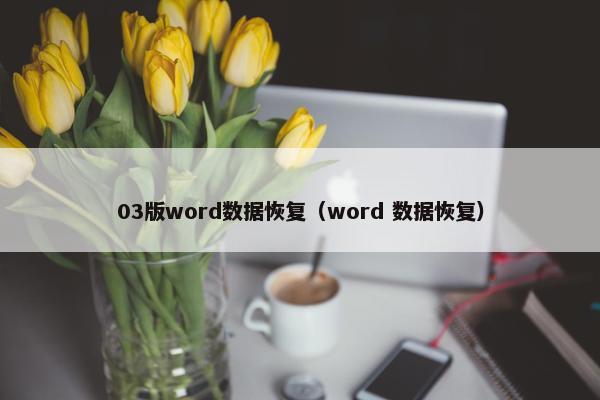 03版word数据恢复（word 数据恢复）