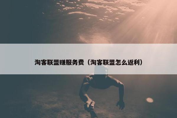 淘客联盟赚服务费（淘客联盟怎么返利）