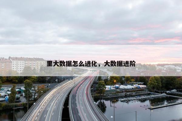 里大数据怎么进化，大数据进阶