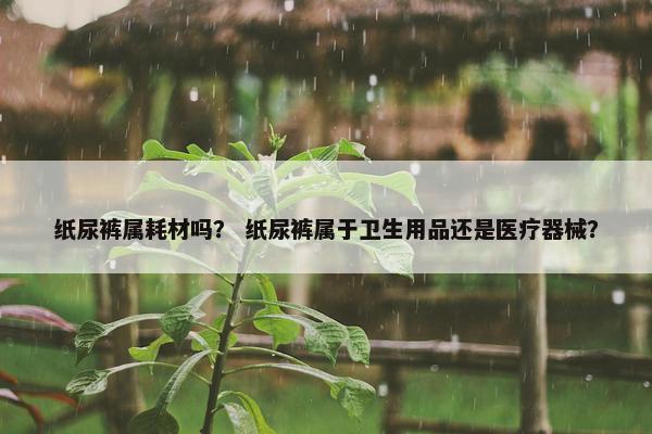 纸尿裤属耗材吗？ 纸尿裤属于卫生用品还是医疗器械？