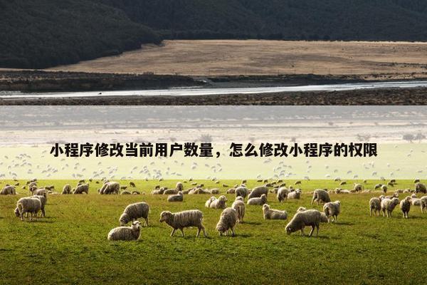 小程序修改当前用户数量，怎么修改小程序的权限