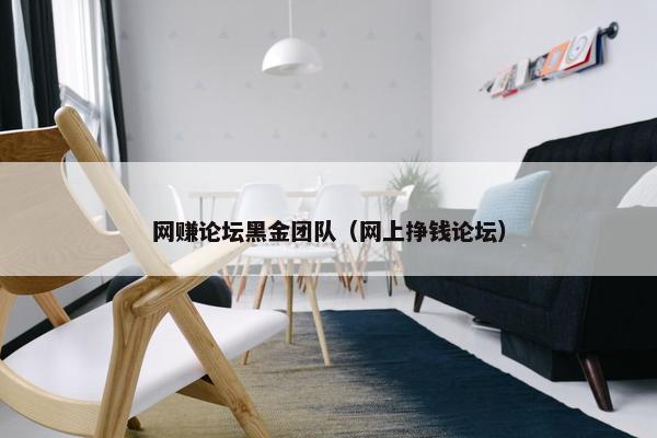 网赚论坛黑金团队（网上挣钱论坛）