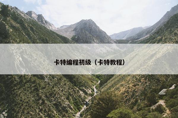 卡特编程初级（卡特教程）
