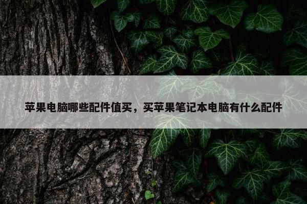 苹果电脑哪些配件值买，买苹果笔记本电脑有什么配件