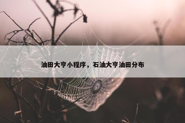 油田大亨小程序，石油大亨油田分布