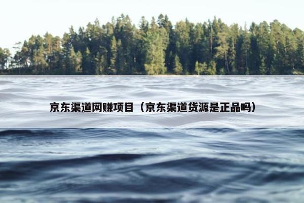 京东渠道网赚项目（京东渠道货源是正品吗）