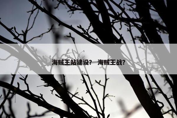 海贼王站建设？ 海贼王战？