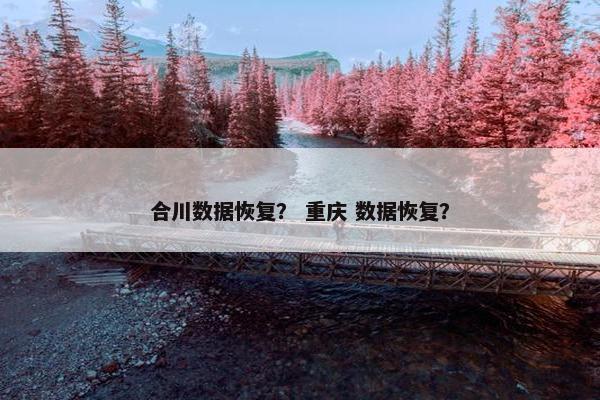 合川数据恢复？ 重庆 数据恢复？
