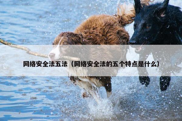 网络安全法五法（网络安全法的五个特点是什么）
