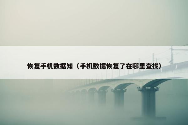 恢复手机数据知（手机数据恢复了在哪里查找）