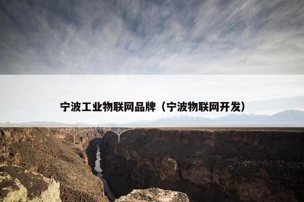 宁波工业物联网品牌（宁波物联网开发）