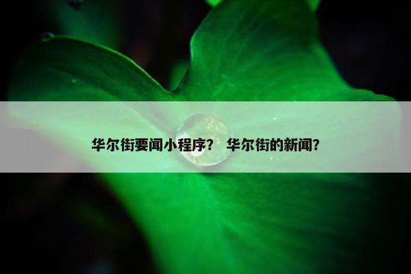 华尔街要闻小程序？ 华尔街的新闻？