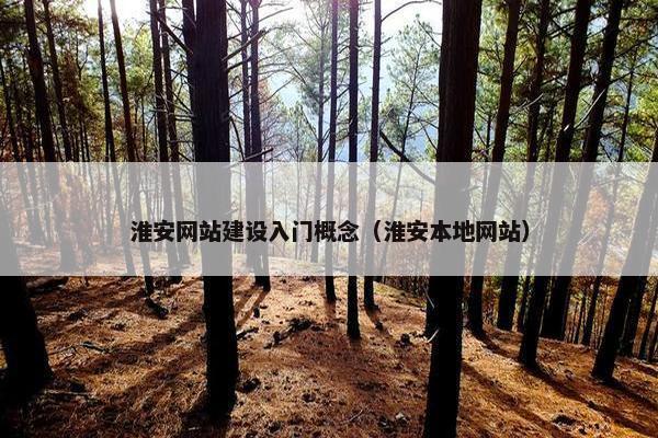 淮安网站建设入门概念（淮安本地网站）