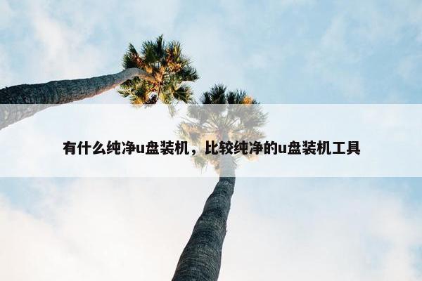 有什么纯净u盘装机，比较纯净的u盘装机工具