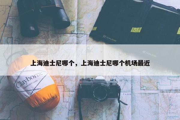 上海迪士尼哪个，上海迪士尼哪个机场最近