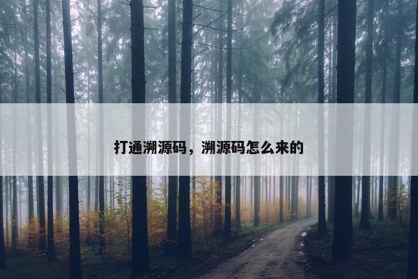 打通溯源码，溯源码怎么来的