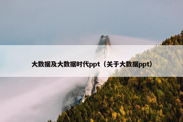 大数据及大数据时代ppt（关于大数据ppt）