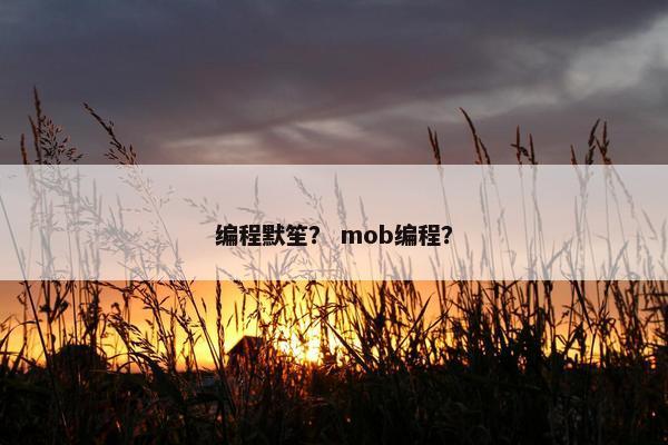 编程默笙？ mob编程？