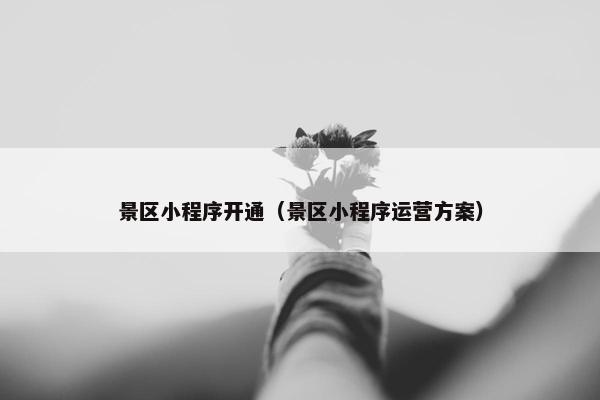 景区小程序开通（景区小程序运营方案）