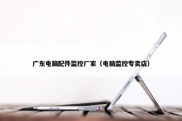 广东电脑配件监控厂家（电脑监控专卖店）