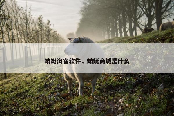 蜻蜓淘客软件，蜻蜓商城是什么